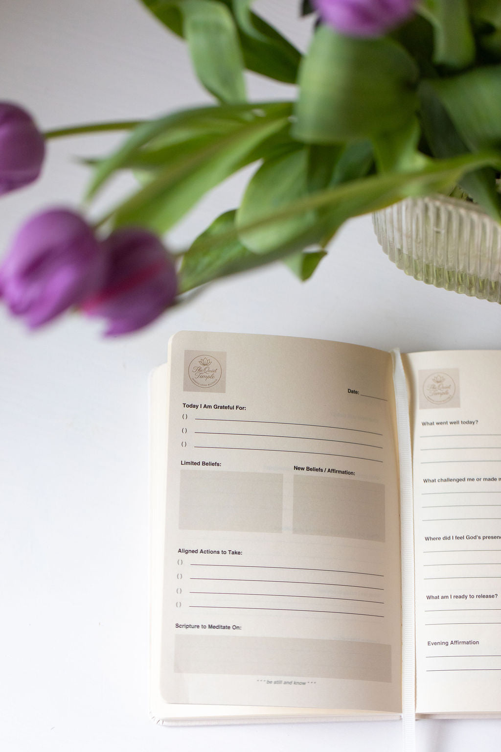 TQT 90-Day Guided Journal