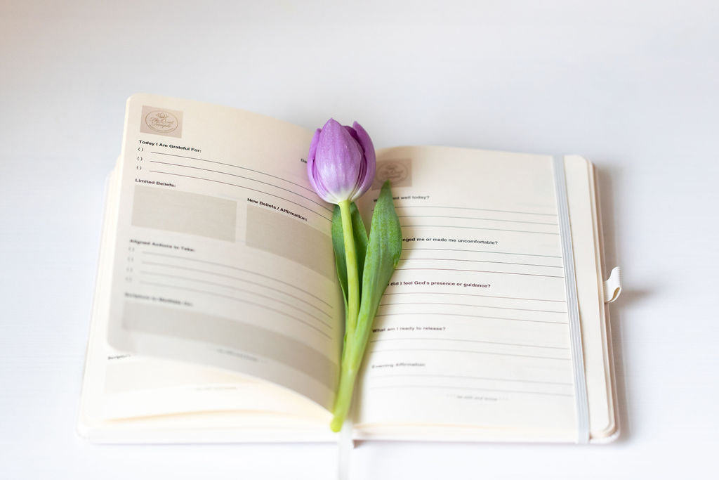 TQT 90-Day Guided Journal